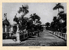 Fotografia antiga do interior do cemitério Nossa Senhora da Soledade. No lado direito da foto, é possível ver um caminho que vai em direção ao fundo da imagem. Dos dois lados, vemos túmulos e árvores.